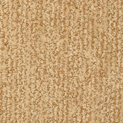 Mesa Verde carpet by Masland