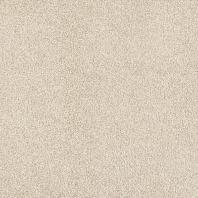 Oceanside carpet by Masland