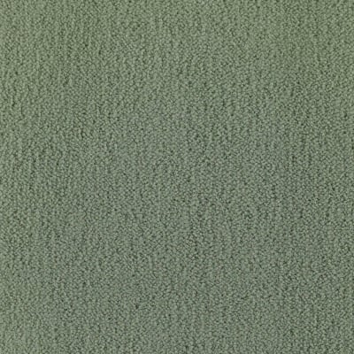 Panache carpet by Masland