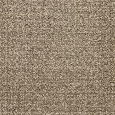 Pedigree carpet by Masland