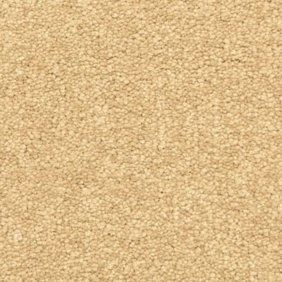 Morgan Bay carpet by Masland