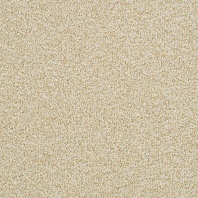 St. Augustine carpet by Masland