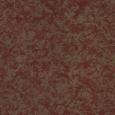Coast carpet by Masland