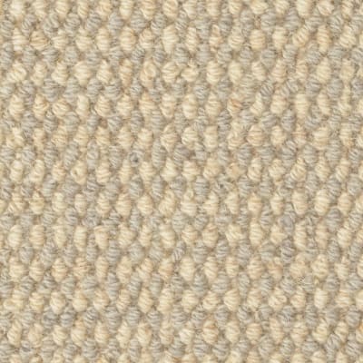 Bedford Tweed carpet by Masland