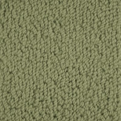 Novellino carpet by Masland