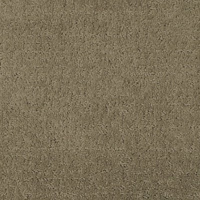 Matisse carpet by Masland