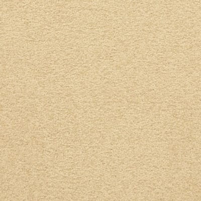 Patriot carpet by Masland