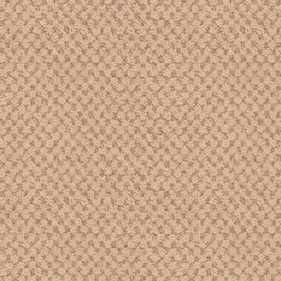 La Parade carpet by Masland