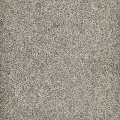 Buena Vida carpet by Masland