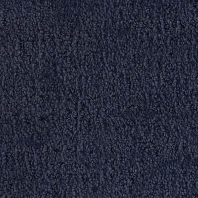Santa Barbara carpet by Masland