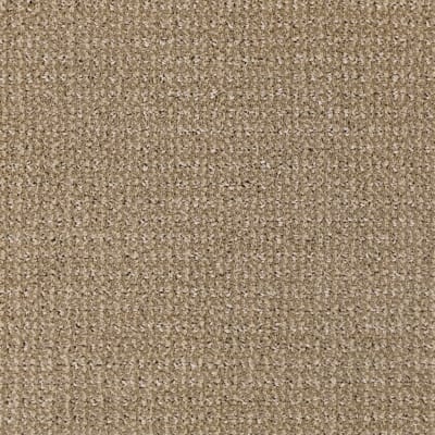 Grand Champion carpet by Masland