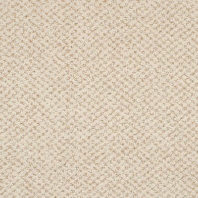 Montauk carpet by Masland