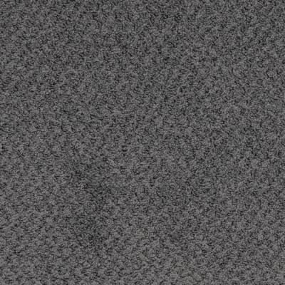 New Hope carpet by Masland