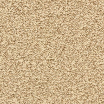 Gusto carpet by Dixie Home