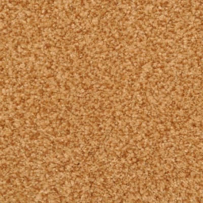 Innovations carpet by Dixie Home