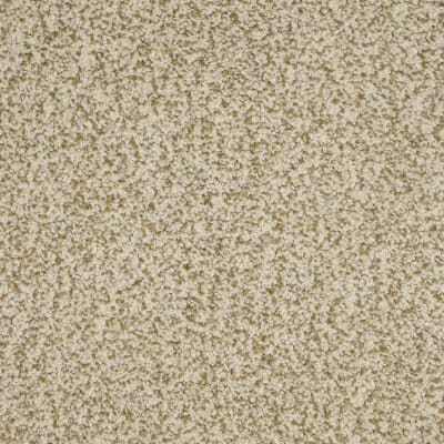 New Age carpet by Dixie Home