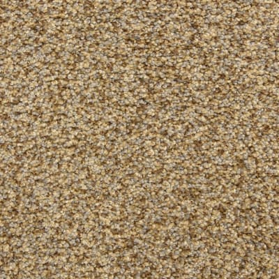 Color Festival carpet by Dixie Home