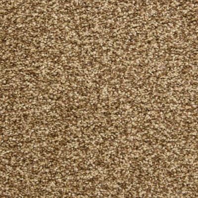 Colorworks carpet by Dixie Home