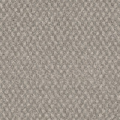 Calm carpet by Dixie Home