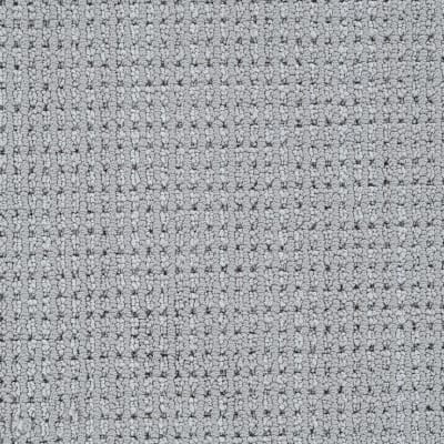 Top Notch carpet by Dixie Home