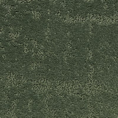 Classic Demeanor carpet by Dixie Home