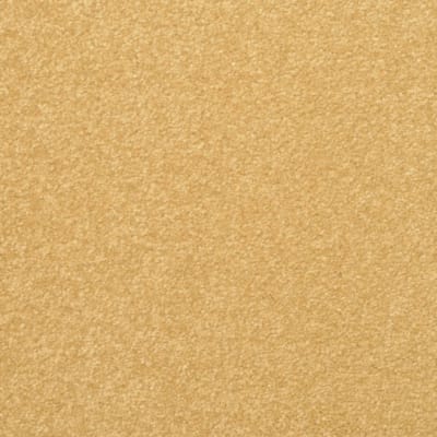 Inspiring carpet by Dixie Home