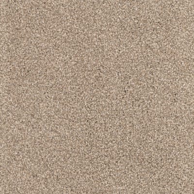 Great Dane carpet by Dixie Home