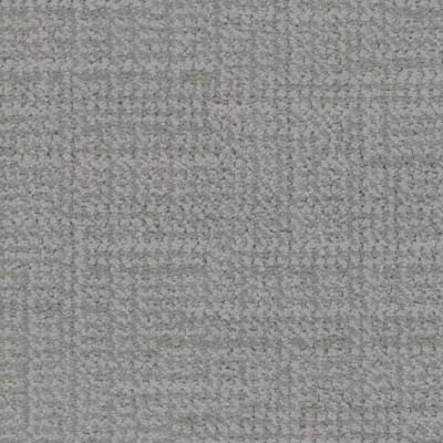 Natural Order carpet by Dixie Home