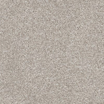 Husky carpet by Dixie Home