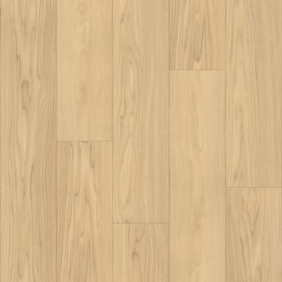 Bravo carpet by TRUCOR®