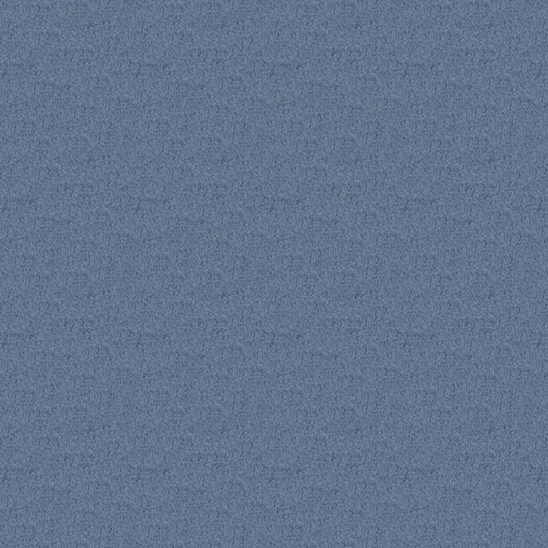 Key West carpet by Masland