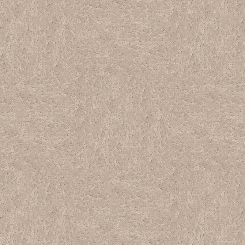 Classic Demeanor carpet by Dixie Home