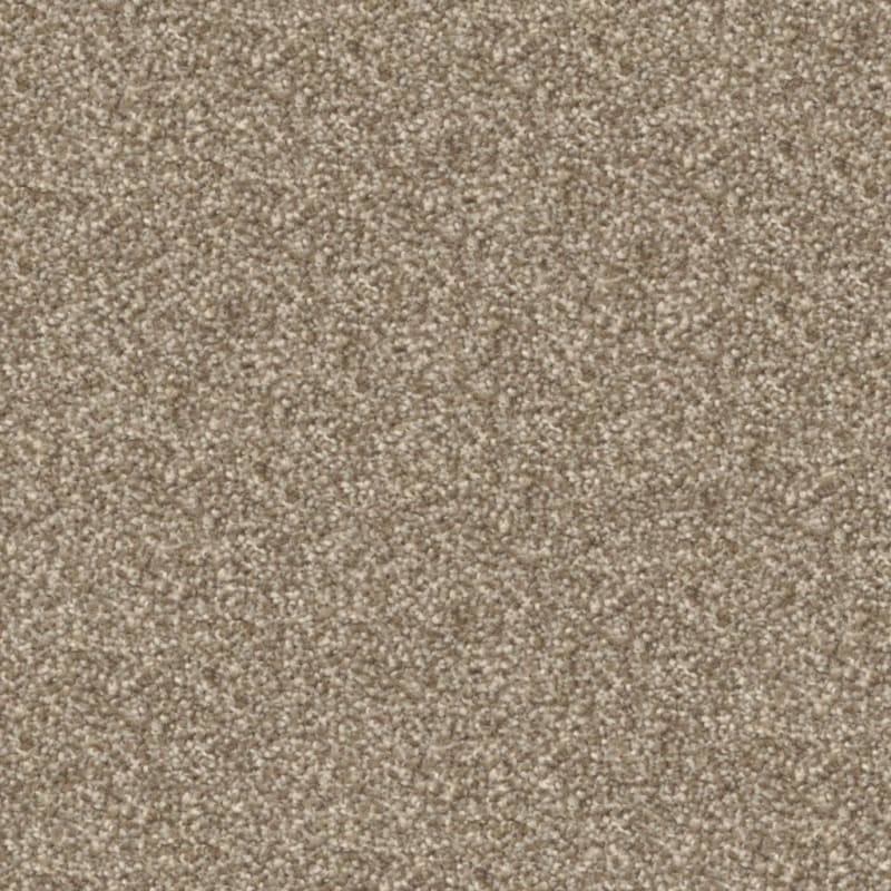 Beacon Hill carpet by Masland