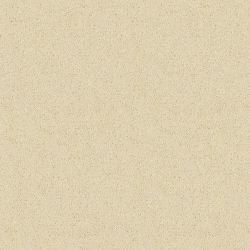 Matisse carpet by Masland