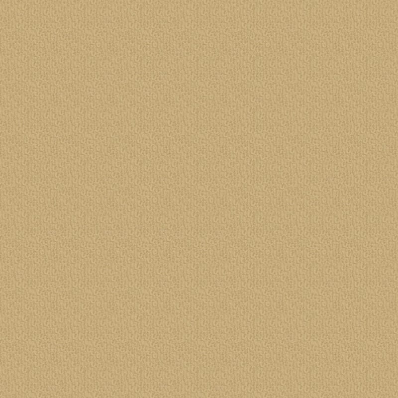 Pinehurst carpet by Masland