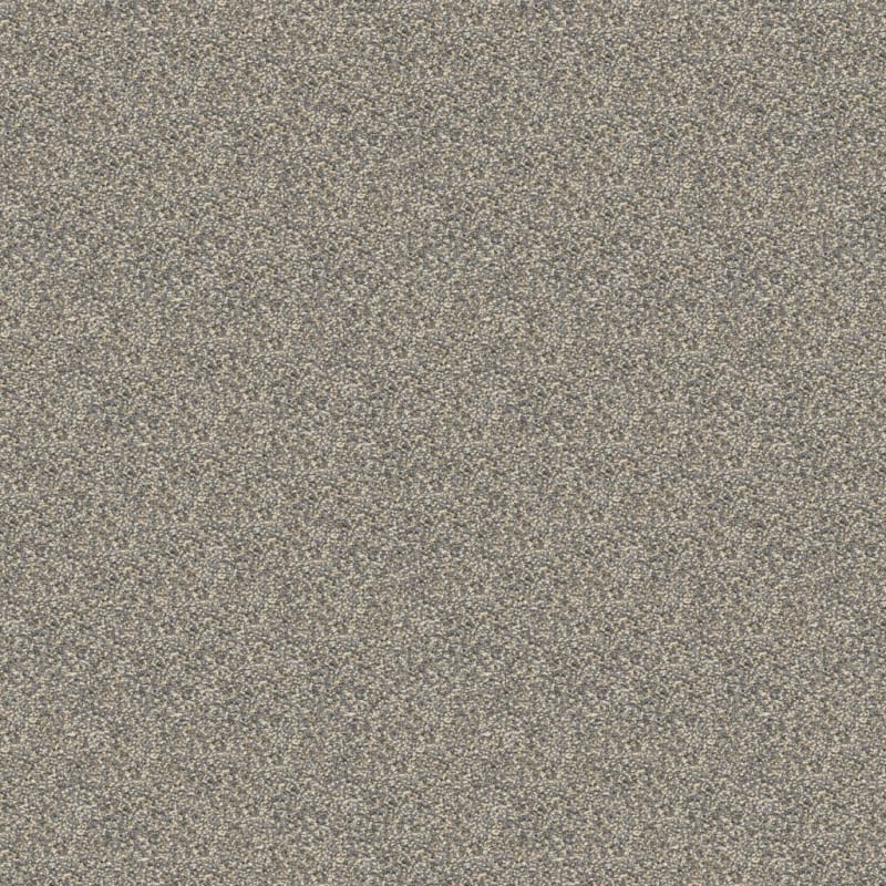 Rochelle carpet by Dixie Home