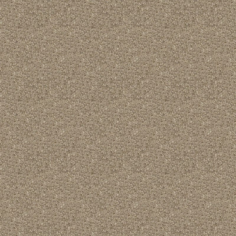 Rochelle carpet by Dixie Home