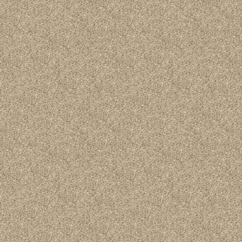 Rochelle carpet by Dixie Home