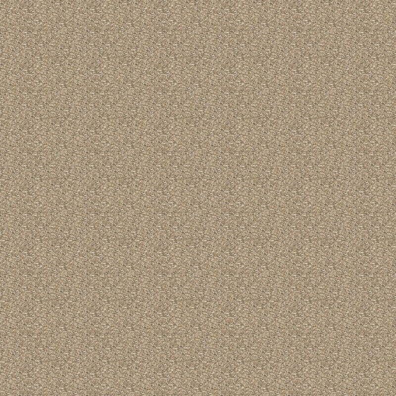 Rochelle carpet by Dixie Home