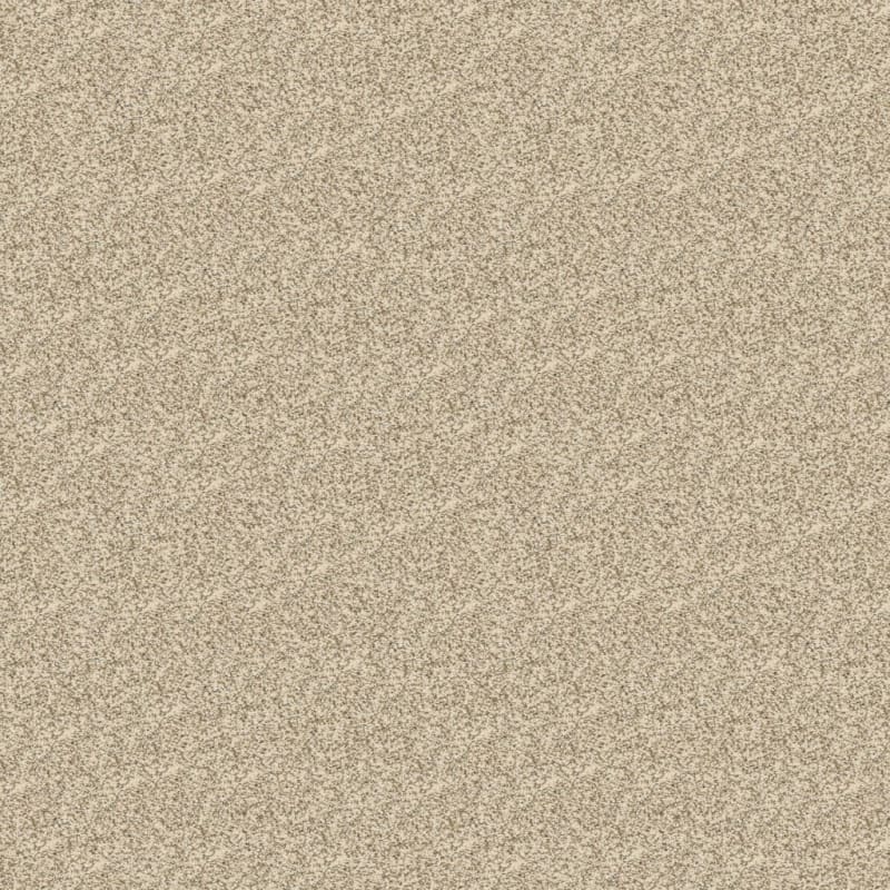Rochelle carpet by Dixie Home