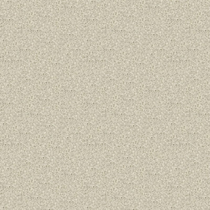 Rochelle carpet by Dixie Home