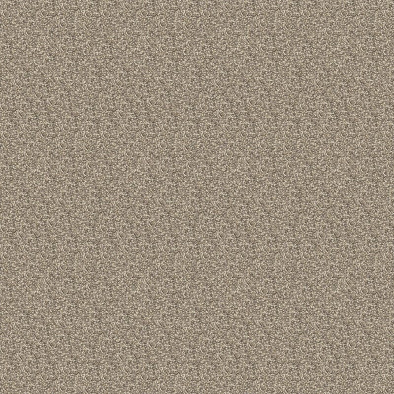 Rochelle carpet by Dixie Home
