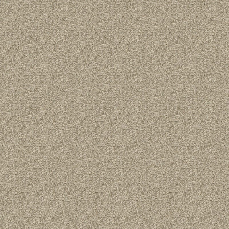 Rochelle carpet by Dixie Home