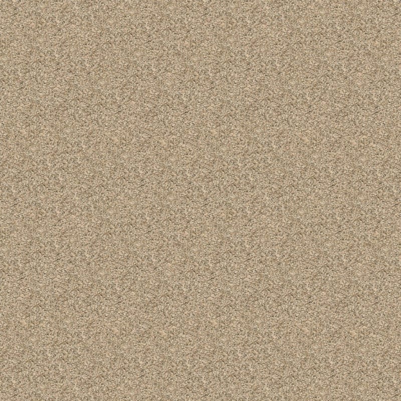 Rochelle carpet by Dixie Home