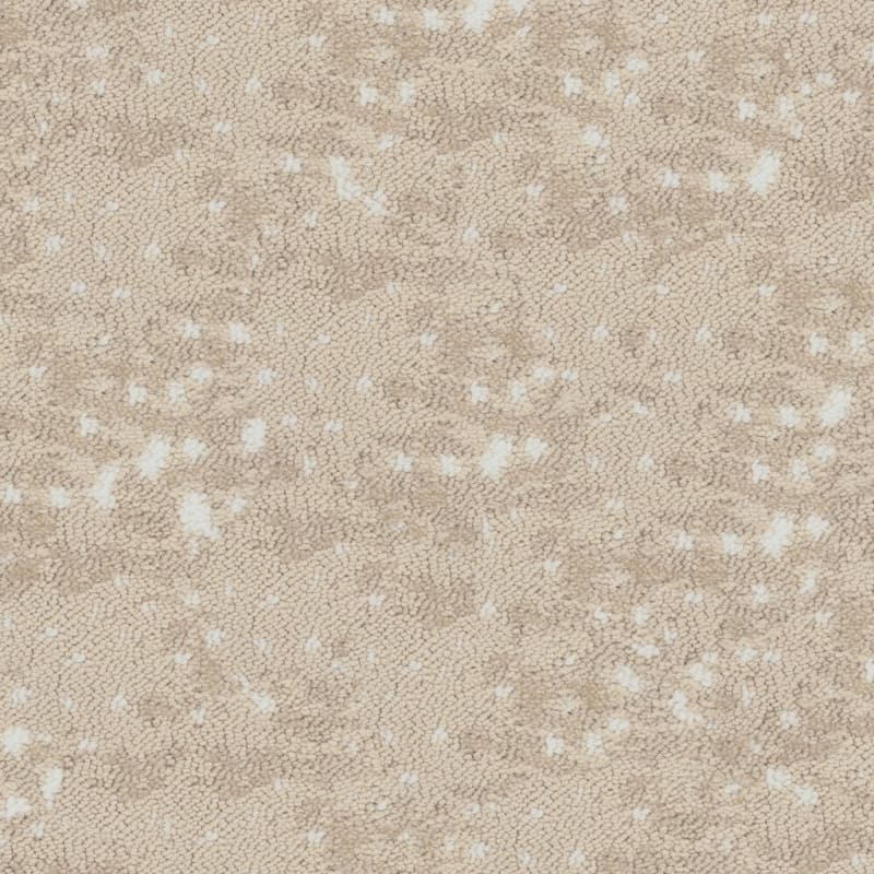 Habitat carpet by Fabrica