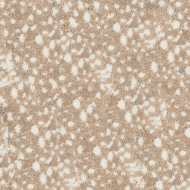 Habitat carpet by Fabrica