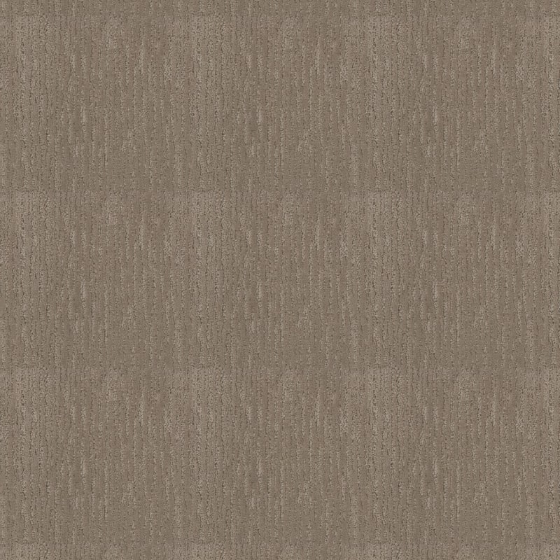 Gratifying carpet by Dixie Home