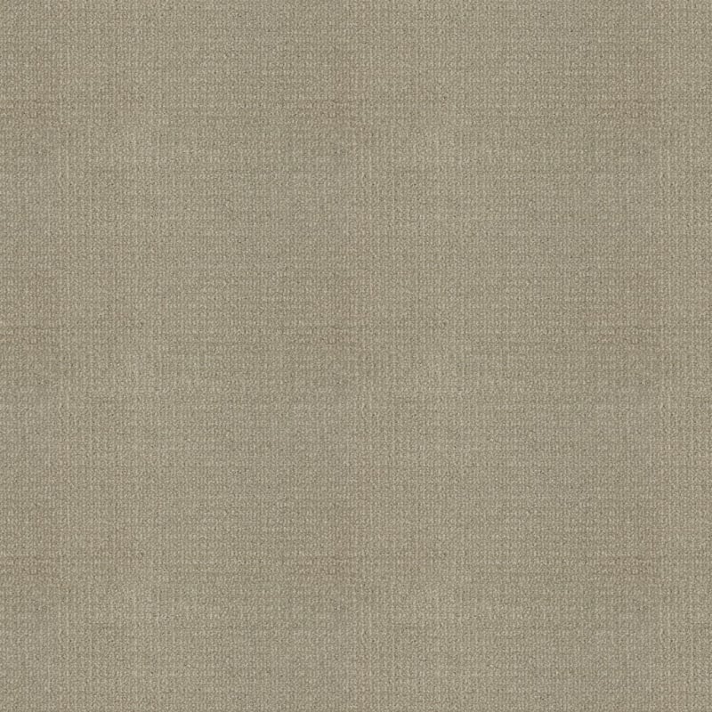 Grand Champion carpet by Masland
