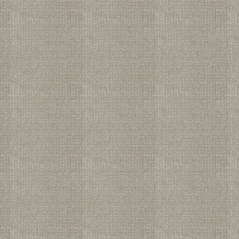 Grand Champion carpet by Masland