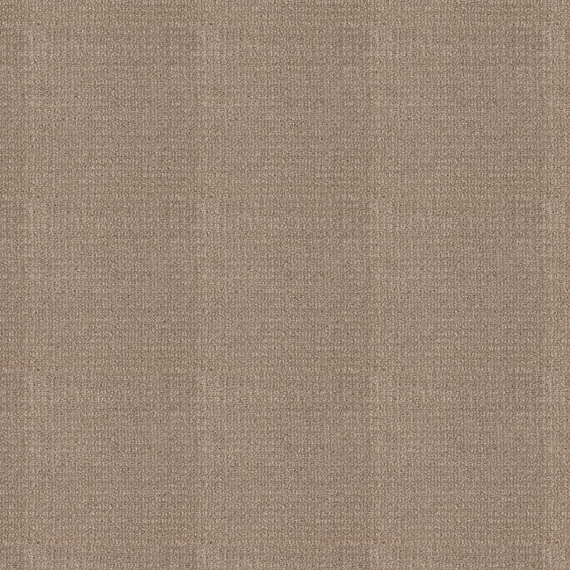 Grand Champion carpet by Masland